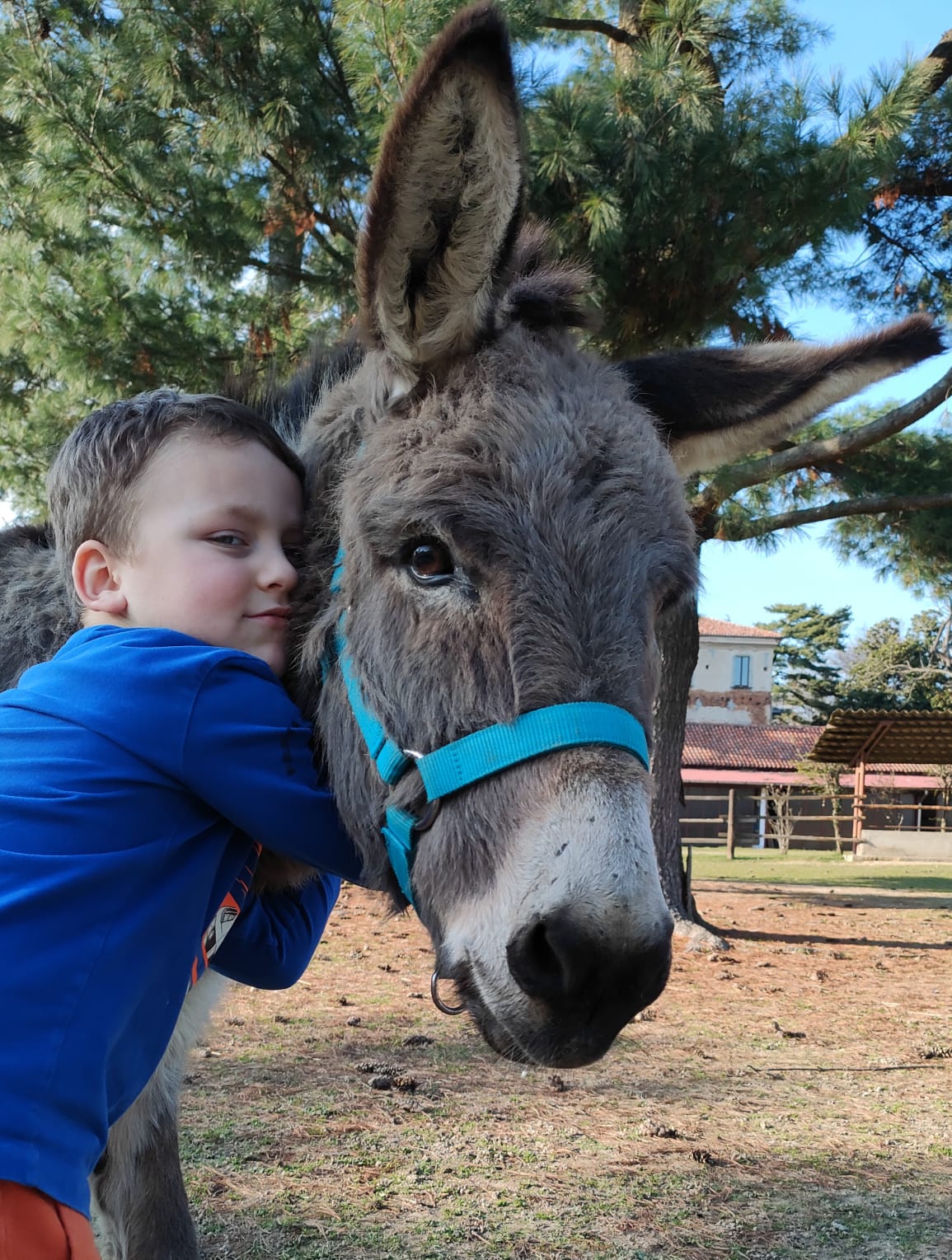 24/03/24 | Prime Coccole con gli Asini