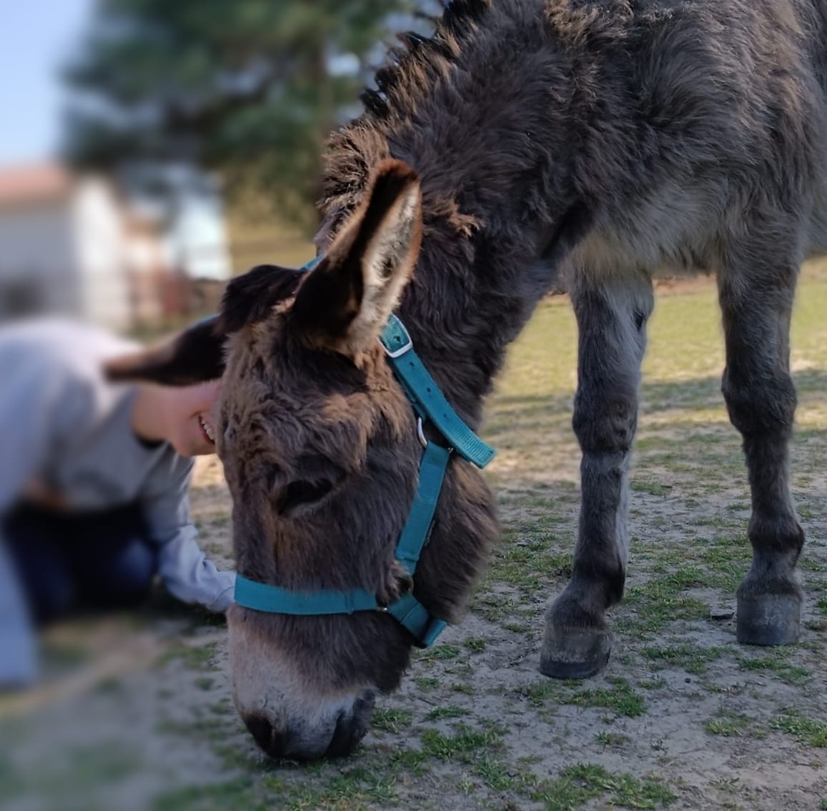 28/04/24 | Prime Coccole con gli Asini