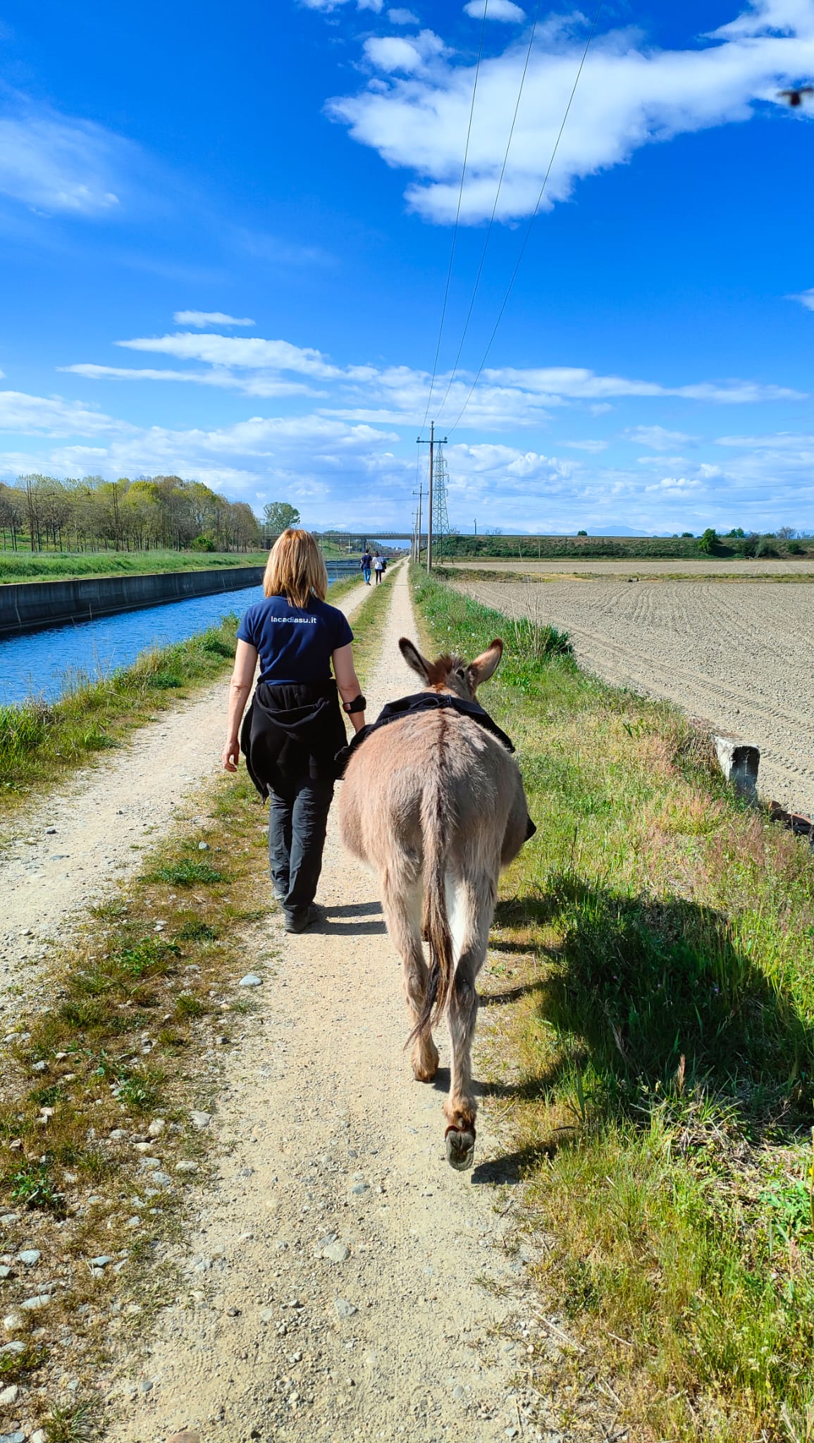 28/04/24 | Passeggiata detox in campagna